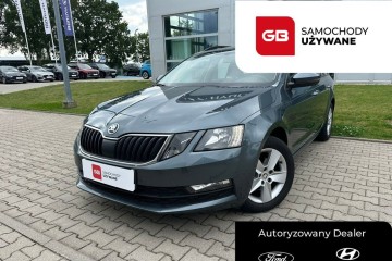 1.6 TDI 115 KM wersja Ambition Faktura VAT23%