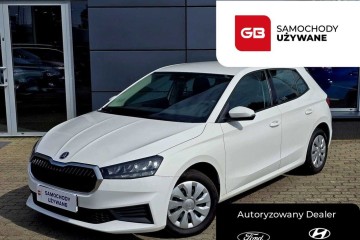 1.0 PB 110KM Active FV23% Salon PL Serwis ASO Gwarancja